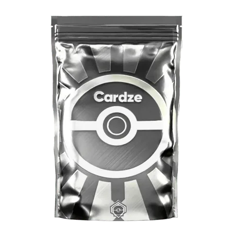 Cardze Silver Pokémon pack